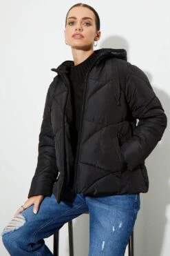 Dorothy Perkins Petite Short Padded Coat With Contrast Trims