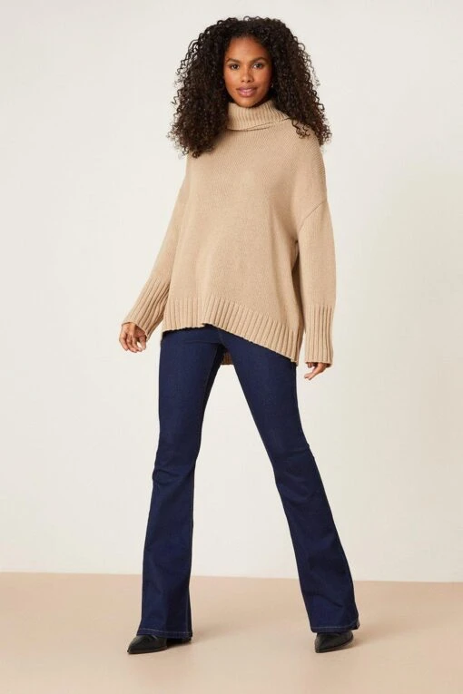 Dorothy Perkins Chunky Roll Neck Jumper