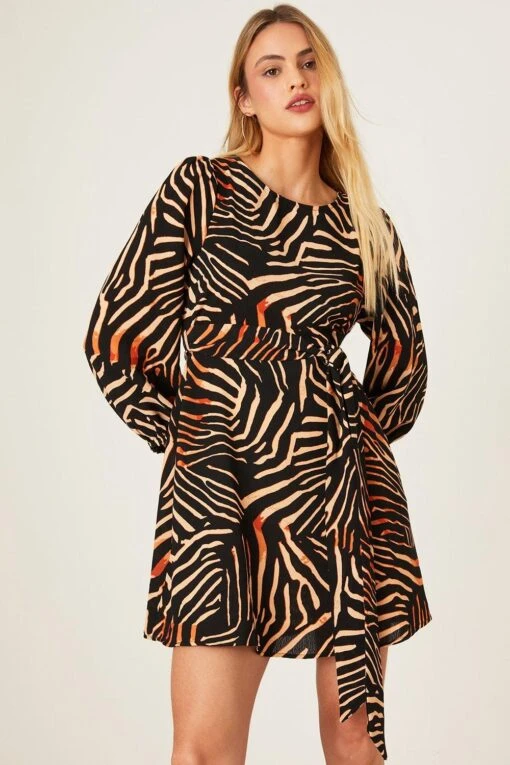 Dorothy Perkins Petite Zebra Print Belted Mini Dress
